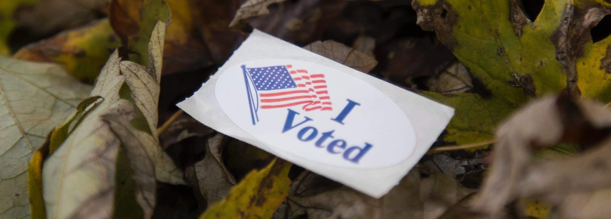 Voting Sticker