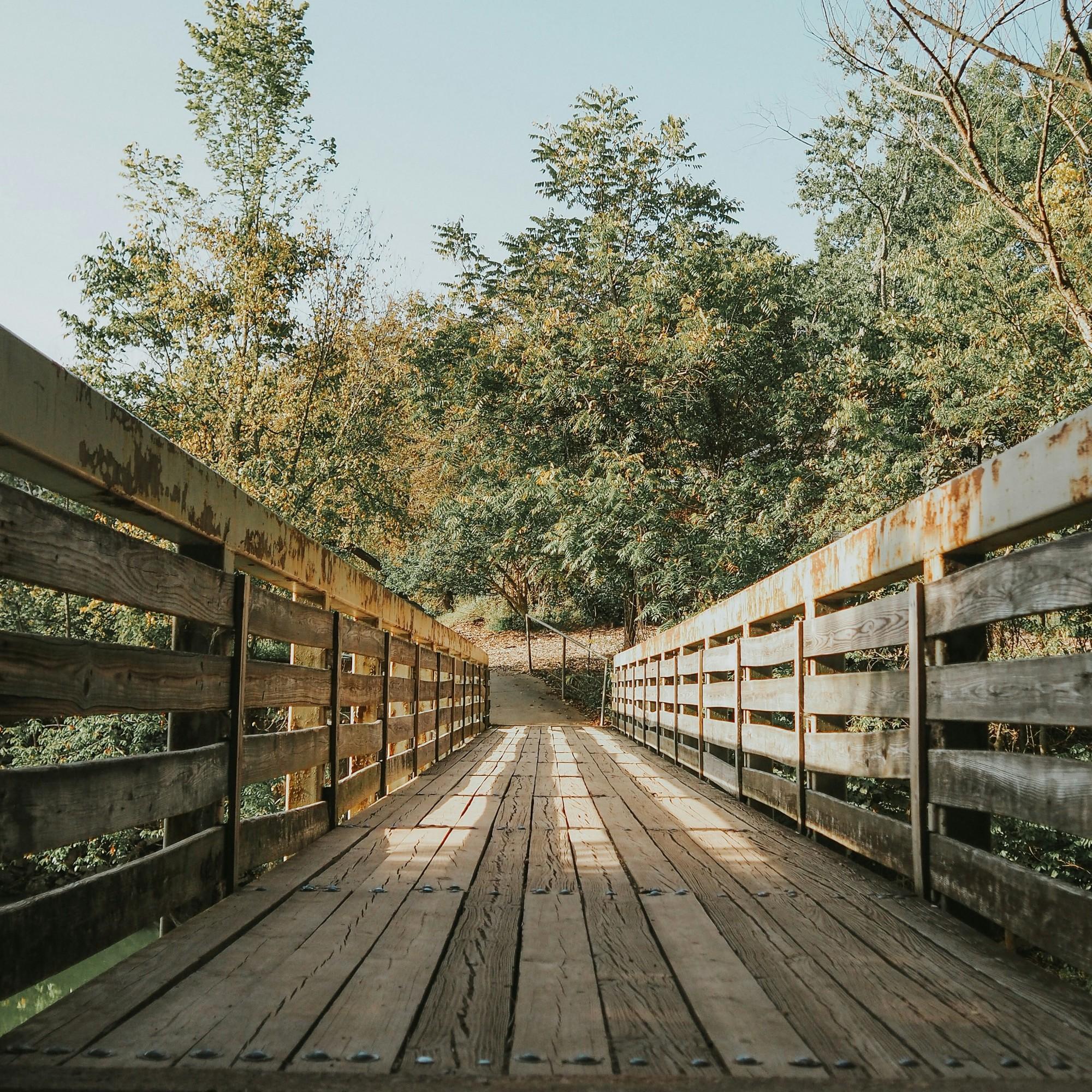 Radnor Lake