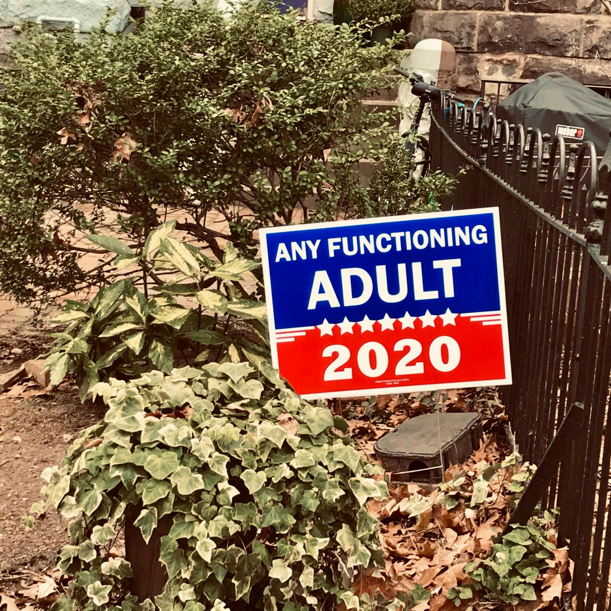 Any Functioning Adult