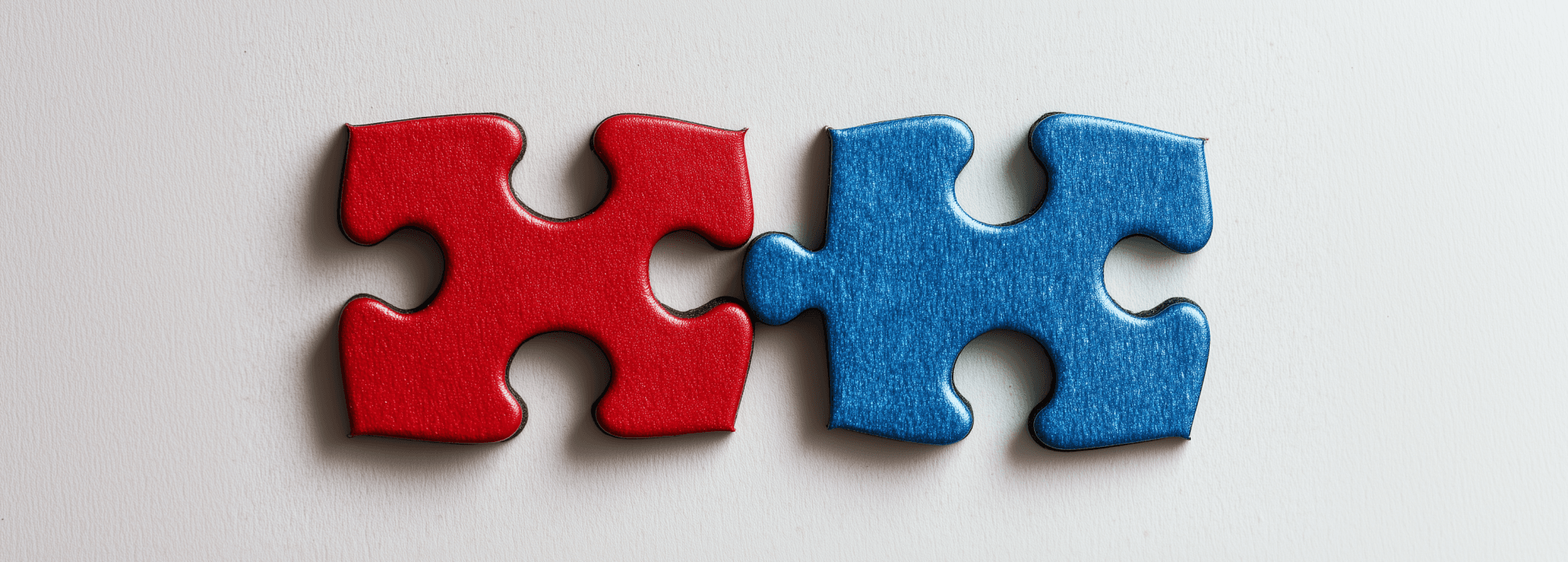 Puzzle Pieces