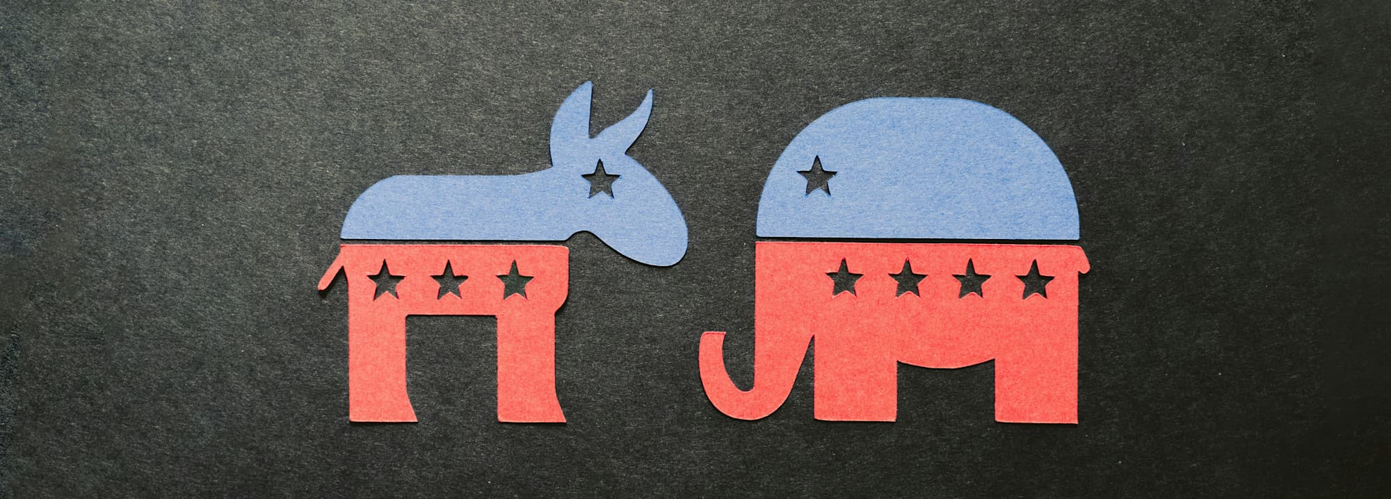 Donkey and Elephant