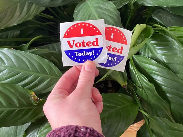 Voting Promoter Voter Mobilization: Strategies for Political Campaigns | GoodParty.org